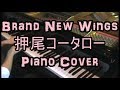 Brand New Wings 押尾コータロー