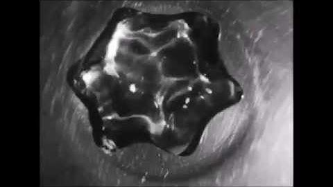 Visualizing the Leidenfrost Effect