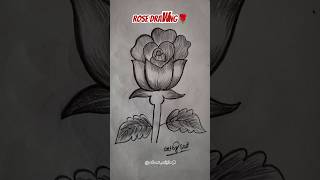 Easy Rose drawing 🌹 #drawing #sailaxmibarik #rosedrawing #youtubeshorts #shorts