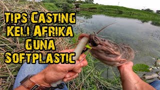 Monster Fish Yang Dilupakan || Yang Pengotor Itu Bukan Ikan screenshot 5