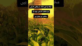 Munafqat . #shorts #DailyQuran #MuslimReminder #IslamicKnowledge