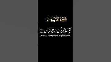 كروما #سورة_المرسلات ج3 #محمد_الفقيه#آيات#اكسبلور#مسلم# #الجزائر#قرآن #كرومات#كرومات_قرآن #قران_كريم