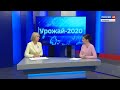 Уборочная кампания: урожай-2020 бьет рекорды