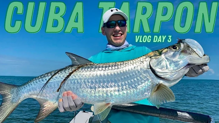 Fly Fishing Cuba: Day 3 Vlog - Chasing Permit, Jum...