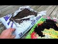 What Does Topsoil, Garden Soil, Raised Bed Soil and Potting Mix Mean?