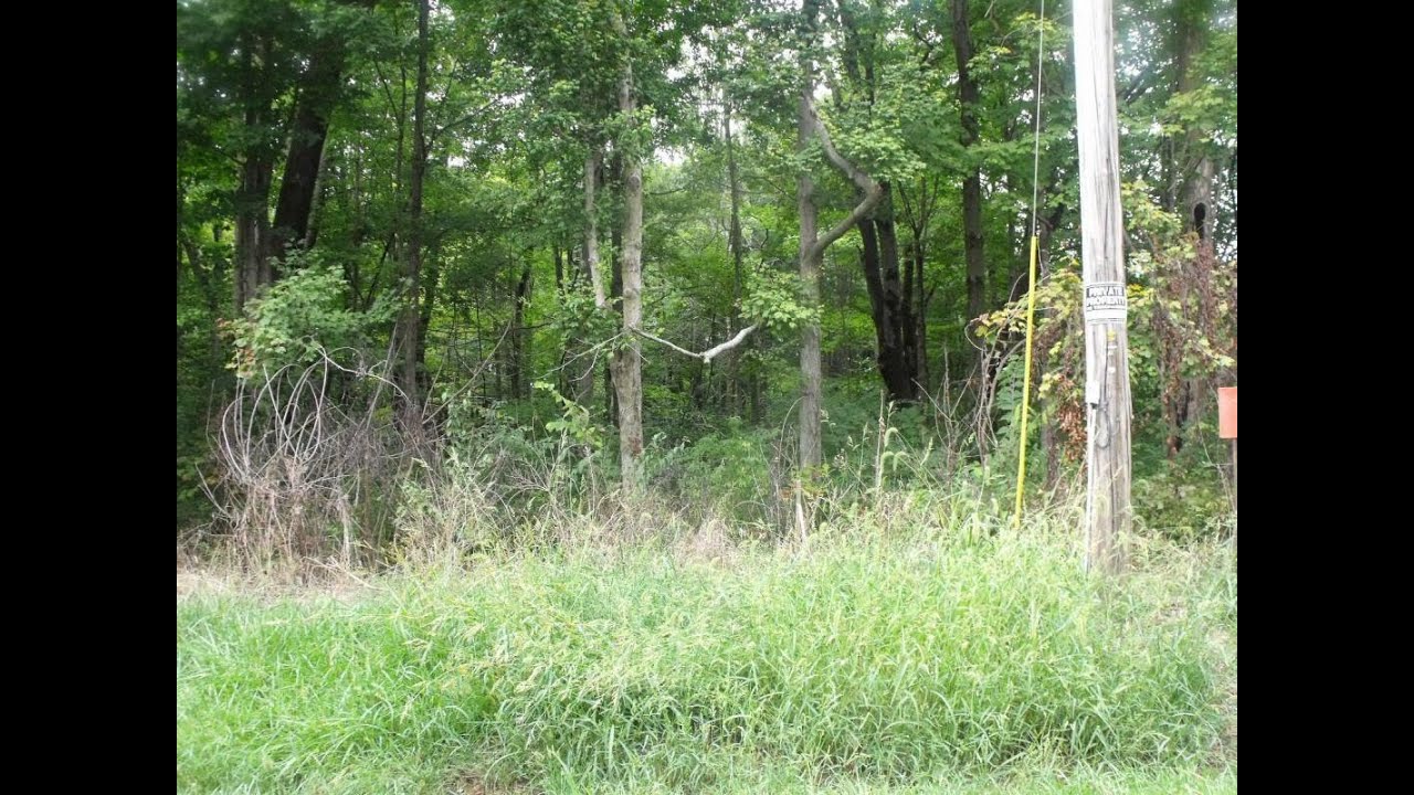 Lots And Land for sale 0 Dozer Road, Stoutsville, OH 43154 YouTube