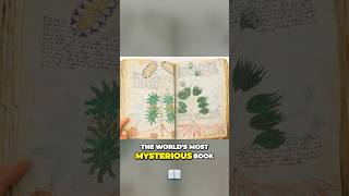The Enigma Of The Voynich Manuscript Unlocking Secrets #unsolved #mystery @BE_FACTUAL
