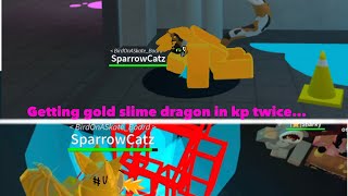 Getting gold slime dragon in kp twice IN ONE DAY...