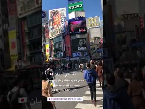 موقف غريب عادتا الخطوط المشاه بالدور يفتحون هاي ٥ خطوط و كلهم مع بعض يفتح