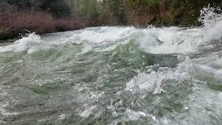 White water on the upper Sol Duc river