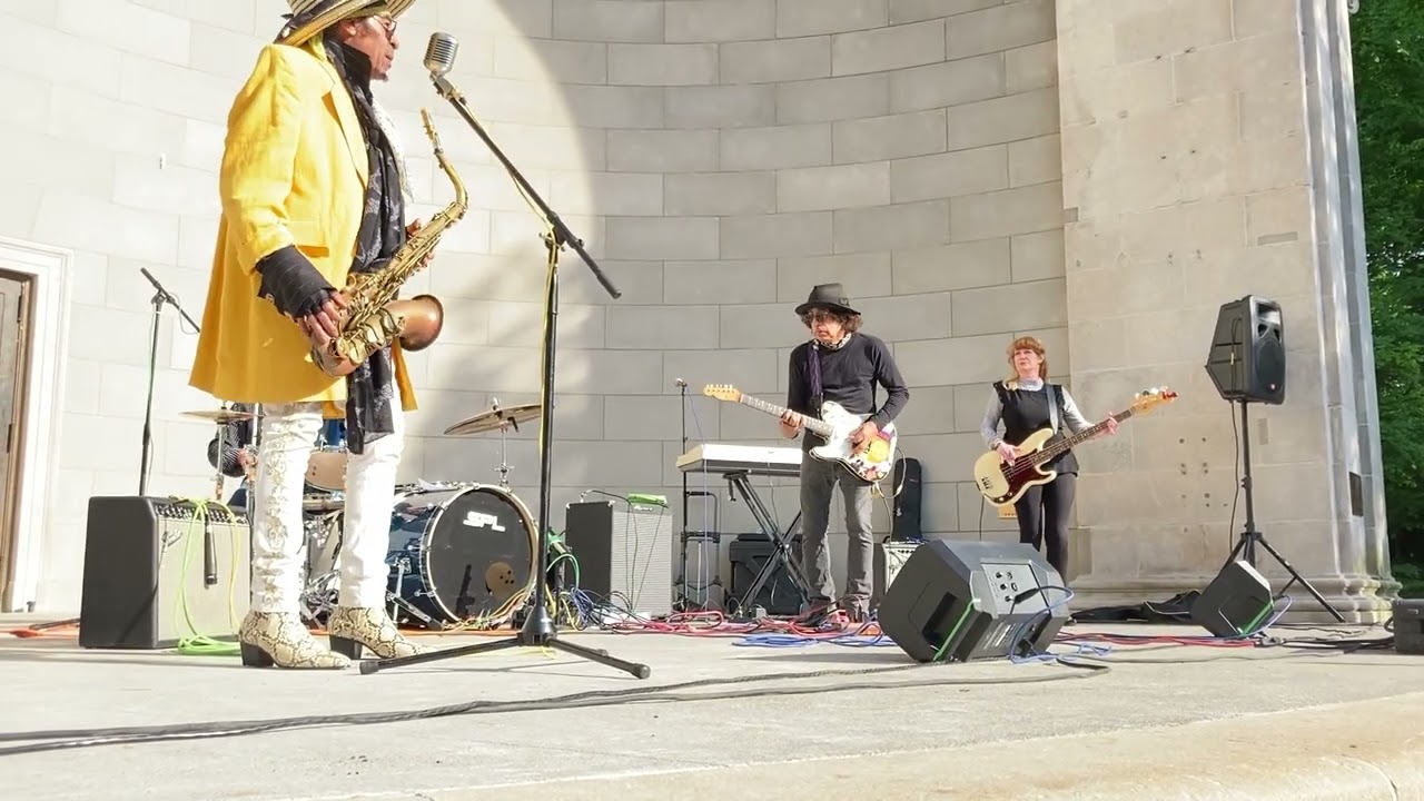 Buddy Bowser is King Bee and the Stingers