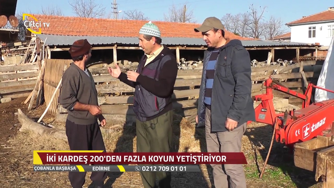 Çobanla Baş Başa-Edirne de Çobanımız İle Buluştuk...
