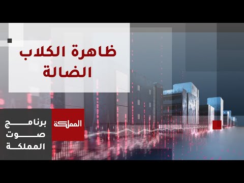 صوت المملكة ظاهرة الكلاب الضالة والجدل المستمر