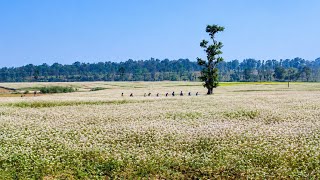 Mainpat The Paradise Of Chhattisgarh