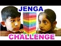 JENGA CHALLENGE (ft. Mogu Bhai) | Fun Family Games | MyMissAnand
