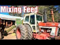 Getting oats from a neighborgrinding heifer feed