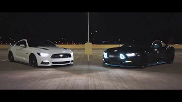 PLUG WALK / MUSTANGS