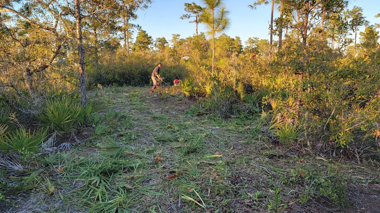 Brush Hog the Living Space YouTube