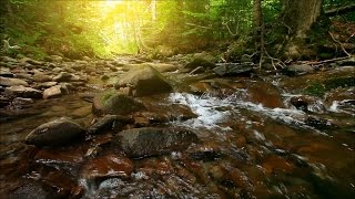 This is the first in a series of relaxing water meditation videos
designed to be without distraction. focus scene entirely on flow
water...