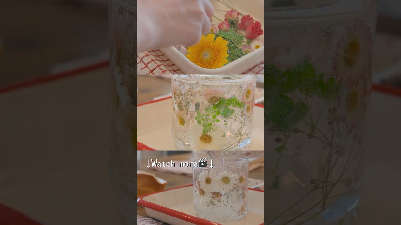 日常の記録🌞