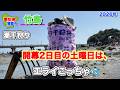 開幕2日目の土曜日だけど、ものすごい量の貝と人だった。