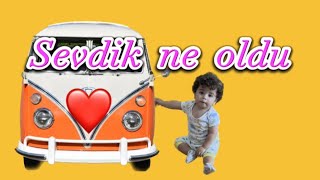 Sevdik Ne Oldu