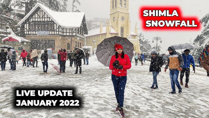 SHIMLA LIVE SNOWFALL UPDATE JANUARY 2022 | SHIMLA SNOWFALL ...