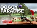 Aussie man's incredible dog oasis | A Current Affair