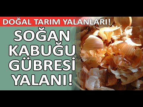 Video: Bahçede Soğan Kabuğu Kullanımı: İnfüzyonla Ne Sulanabilir? Hastalık Ve Zararlılara Karşı Nasıl Kullanılır? Bitkiler Için Kaynatma Faydaları