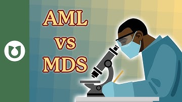 How do you distinguish between a diagnosis of MDS and AML? #AML