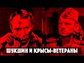 Шукшин и крысы-ветераны. [Злой Цербер]