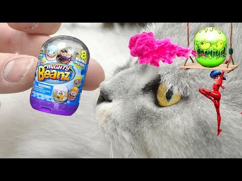 MIGHTY BEANZ CHALLENGE! Мама против папы на полосе препятствий!!! Леди Баг редкий боб!!!