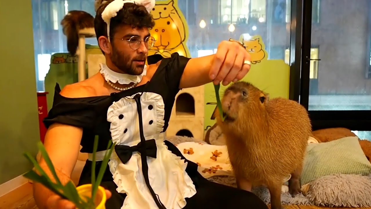 Hasanabi Goes to a Capybara Cafe in Tokyo, Japan (in a Maid Costume)