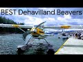 Seaplane Compilation Video of the Best DeHavilland Beavers in the World