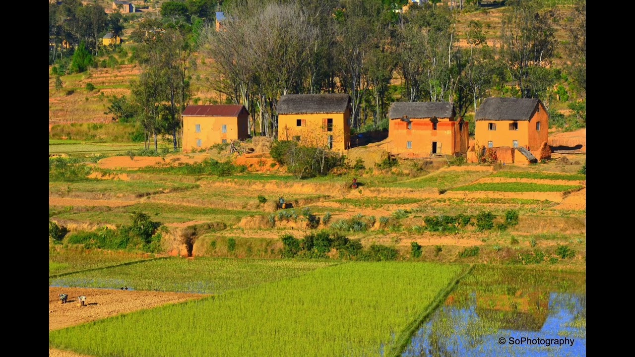 Lalangina Soa Fijoro - Manigna