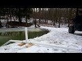#127 How To Move Water With Easy, Cheap, Siphon System