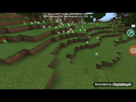 Minecraft 花海生存种子公布 Youtube