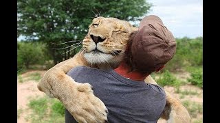 Friendly Animals Hugging Humans Friendly Animals Hugging Humans