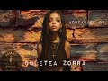 Adrian el 02 _ Cueletea zorra _  Family Estudio  El Pity Production 