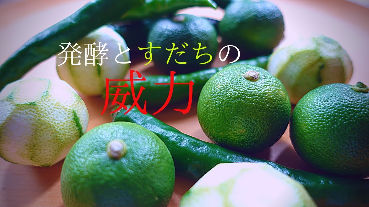 【発酵すだち麹の作り方】発酵すだち胡椒『皮に肥満を防ぐ効果!?』スダチチンの威力。手仕事とプロセッサーで作る【すだちレシピ】
