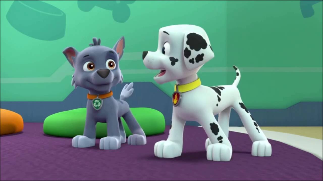 paw patrol marshall and rocky