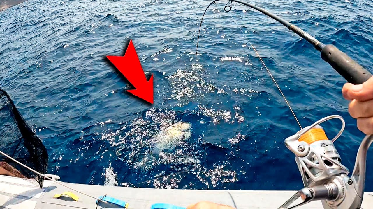 ¡¡Mi AVENTURA con FILIP y CIA!! (Brutal como FUNCIONAN los CARAMELITOS) Pesca al vivo