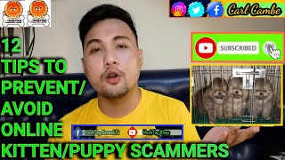 #12 TIPS TO PREVENT/AVOID ONLINE KITTEN/PUPPY SCAMMERS I HASHTAG VLOGS by HASHTAG VLOGS 2,788 views 3 years ago 18 minutes