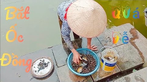 Thành quả bất ngờ sau 30 phút mò ốc của mẹ🐌🐌🐌