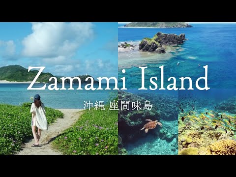 【沖縄・座間味島旅行】世界が恋する慶良間ブルー｜ウミガメと泳ぐスキンダイビング&ビーチ巡り｜阿嘉島散策