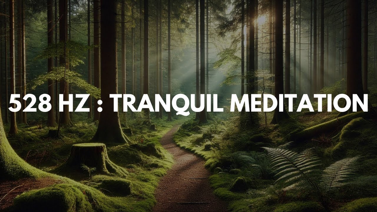 Can Tranquil Forest Sounds Enhance Your Meditation Journey? - YouTube