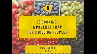 "Is Cooking a Poverty Trap for 3 Billion People?" Tiny Talk by Pam Jagger