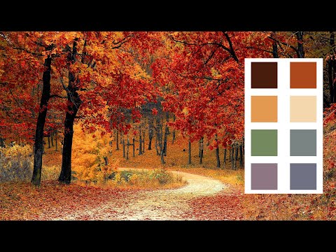 Generate Color Palettes