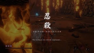 Sekiro Shadows Die Twice Owl Father