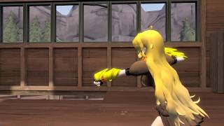 [SFM] Short Fight Test